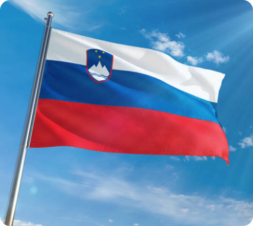 Identify Visa Pathway Type & Qualification